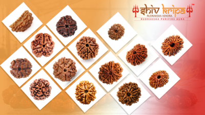 1 to 14 Mukhi Rudraksha - Detailed Benefits of Each Mukhi Rudraksha