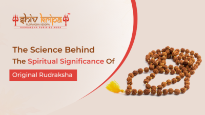 The Science behind the Spiritual Significance of Original Rudraksha