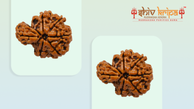 Secrets About 1 Mukhi Rudraksha