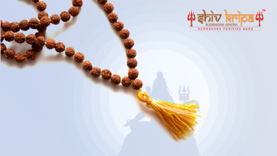 Things You Should Know Before Buying An Authentic Rudraksha Online