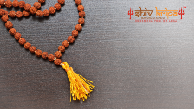 Things You Should Know Before Purchasing a Rudraksha