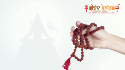 All About Ek Mukhi Rudraksha – Meaning, Benefits, Shapes, and Wearing Instructions