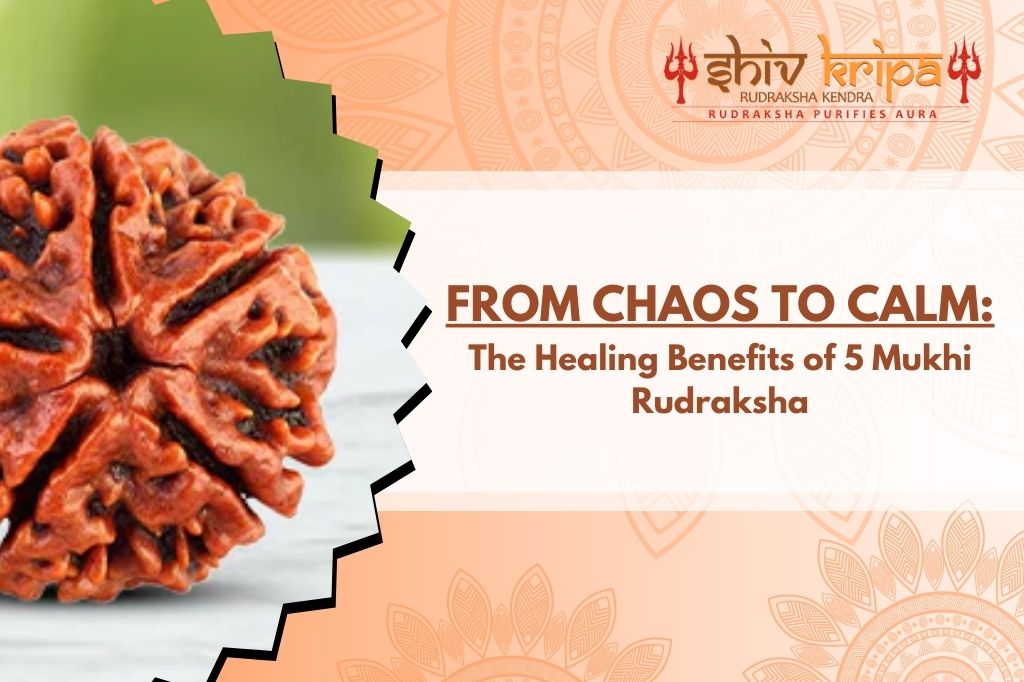 From Chaos to Calm: The Healing Benefits of 5 Mukhi Rudraksha