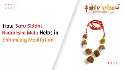 How Sarv Siddhi Rudraksha Mala Helps in Enhancing Meditation