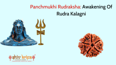 Panchmukhi Rudraksha: Awakening Of Rudra Kalagni