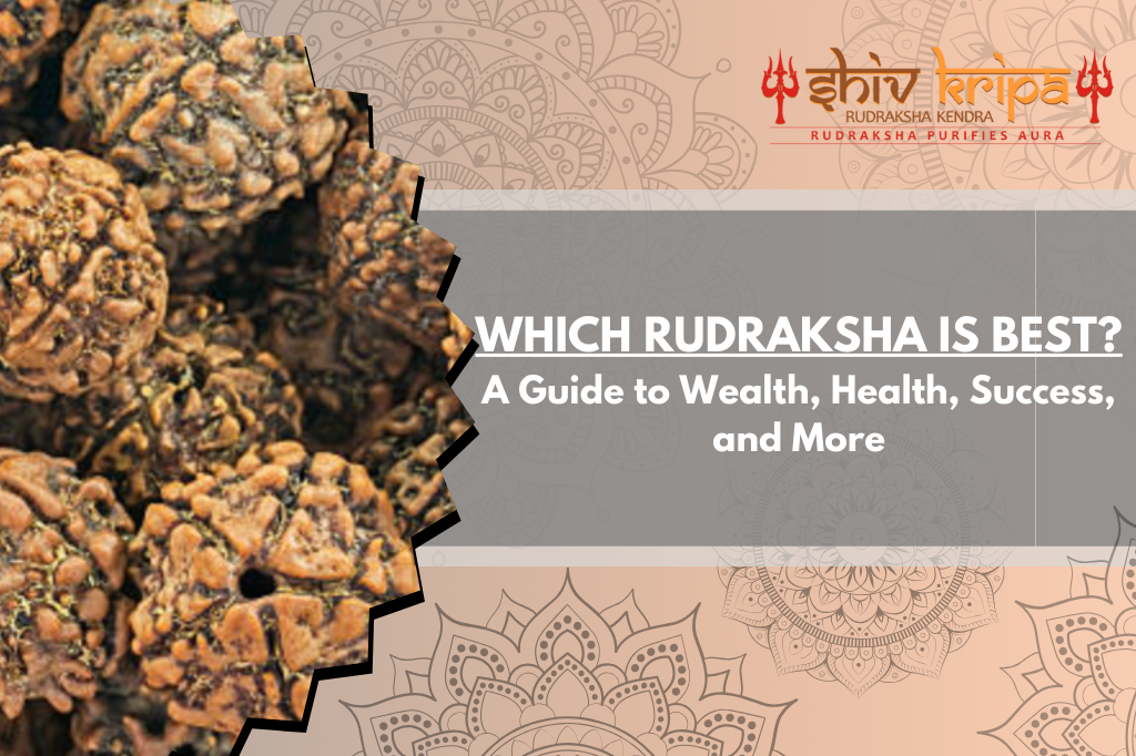 Which Rudraksha is Best? A Guide to Wealth, Health, Success, and More