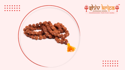 A Rudraksha Mala - Benefits and Guidelines