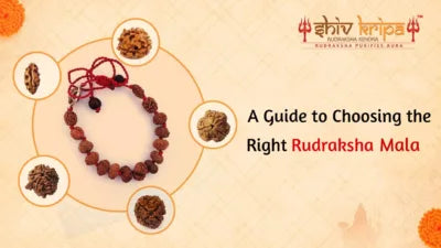 A Guide to Choosing the Right Rudraksha Mala