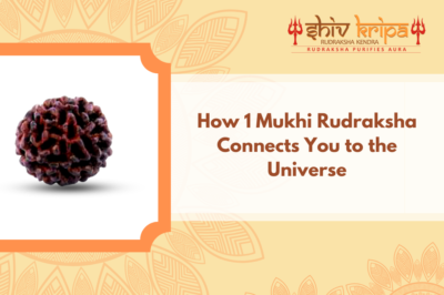 The Essence of Oneness: How 1 Mukhi Rudraksha Connects You to the Universe