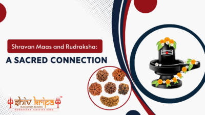 Shravan Maas and Rudraksha: A Sacred Connection