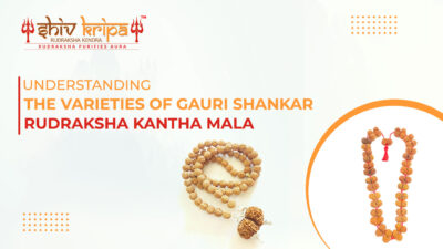 Understanding the Varieties of Gauri Shankar Rudraksha Kantha Mala