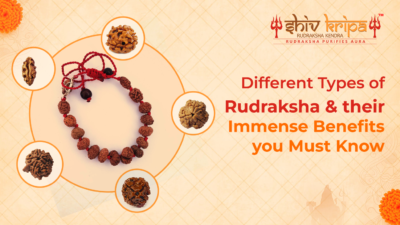 Different Types of Rudraksha and their Immense Benefits you Must Know