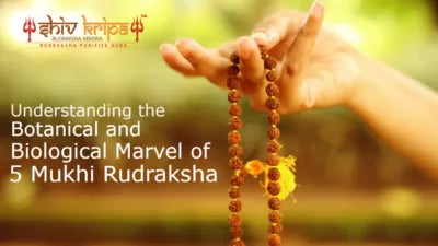 Exploring the Protective Powers of Rudraksha Mala Kawach for Kaal Sarp Dosh