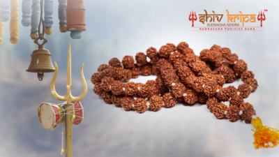 Rudraksha Guide - 5 Crucial Things You Must Know About Wearing Rudraksha