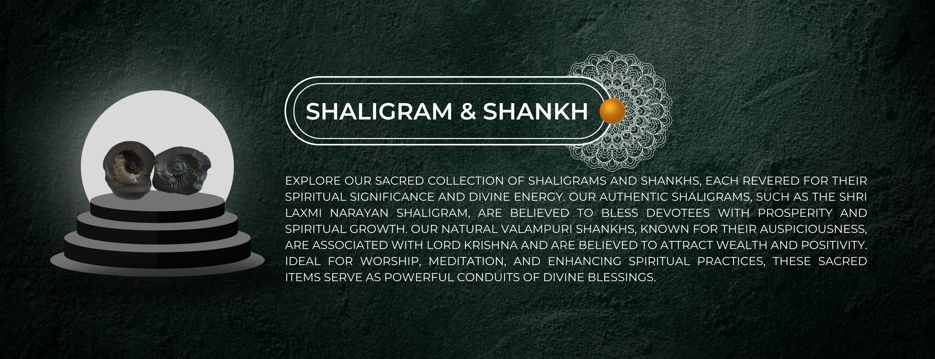 Shaligram & Shankh