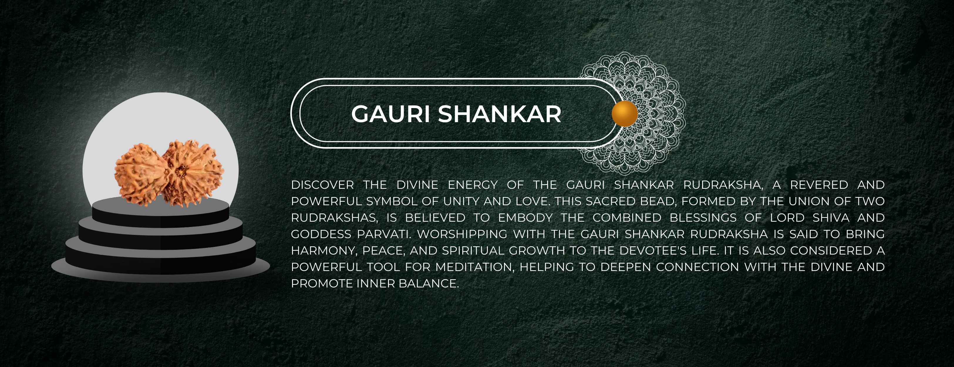 Gauri Shankar Rudraksha