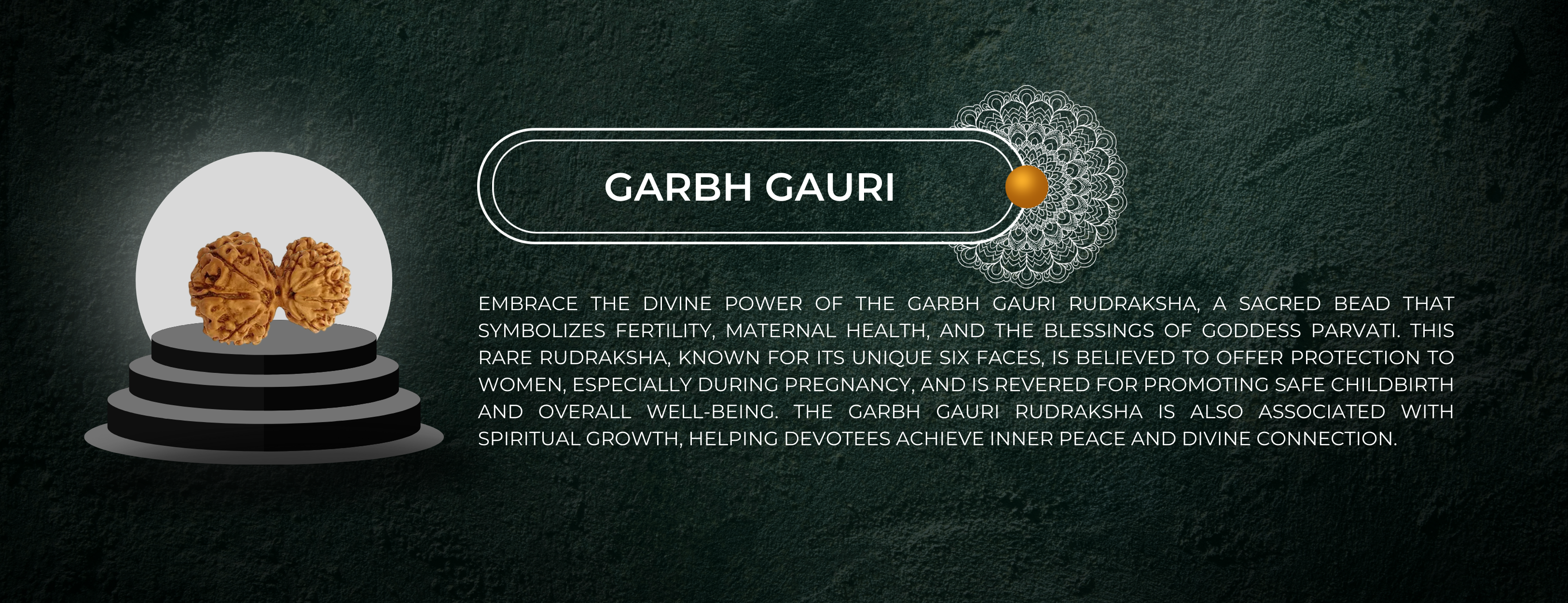 Garbh Gauri Rudraksha