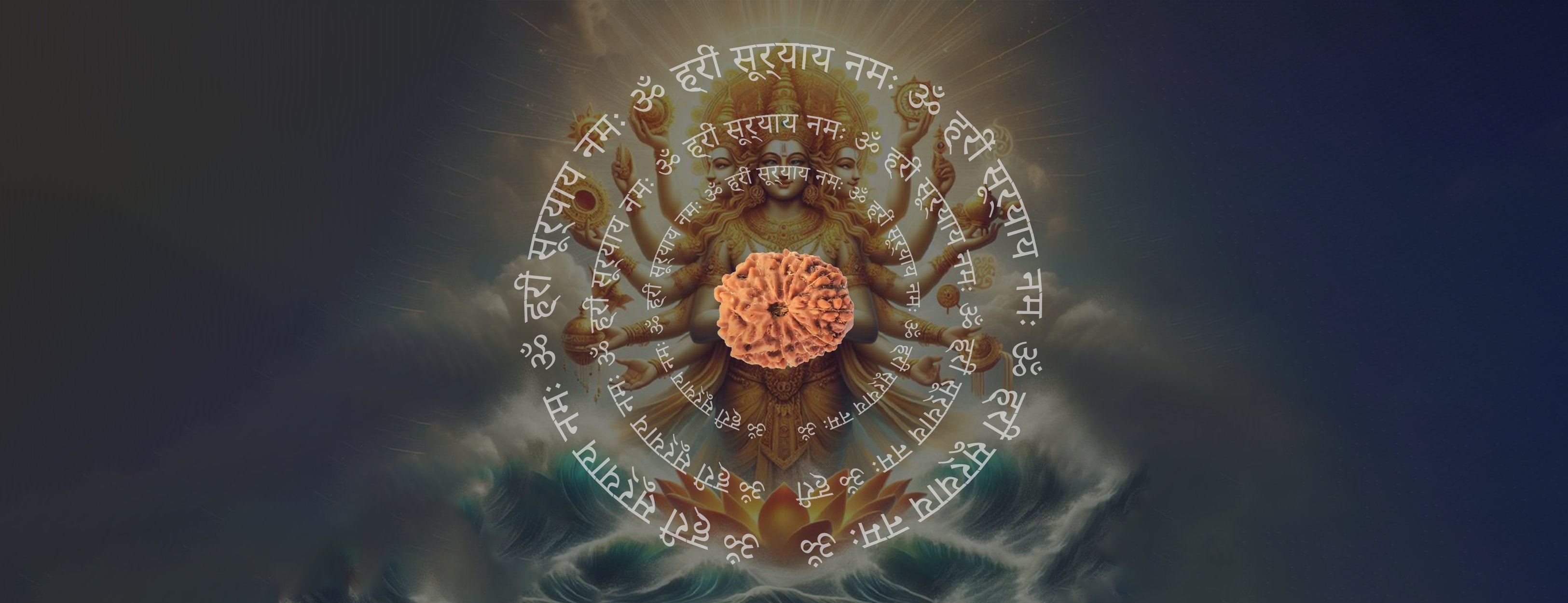 12  Mukhi Rudraksha