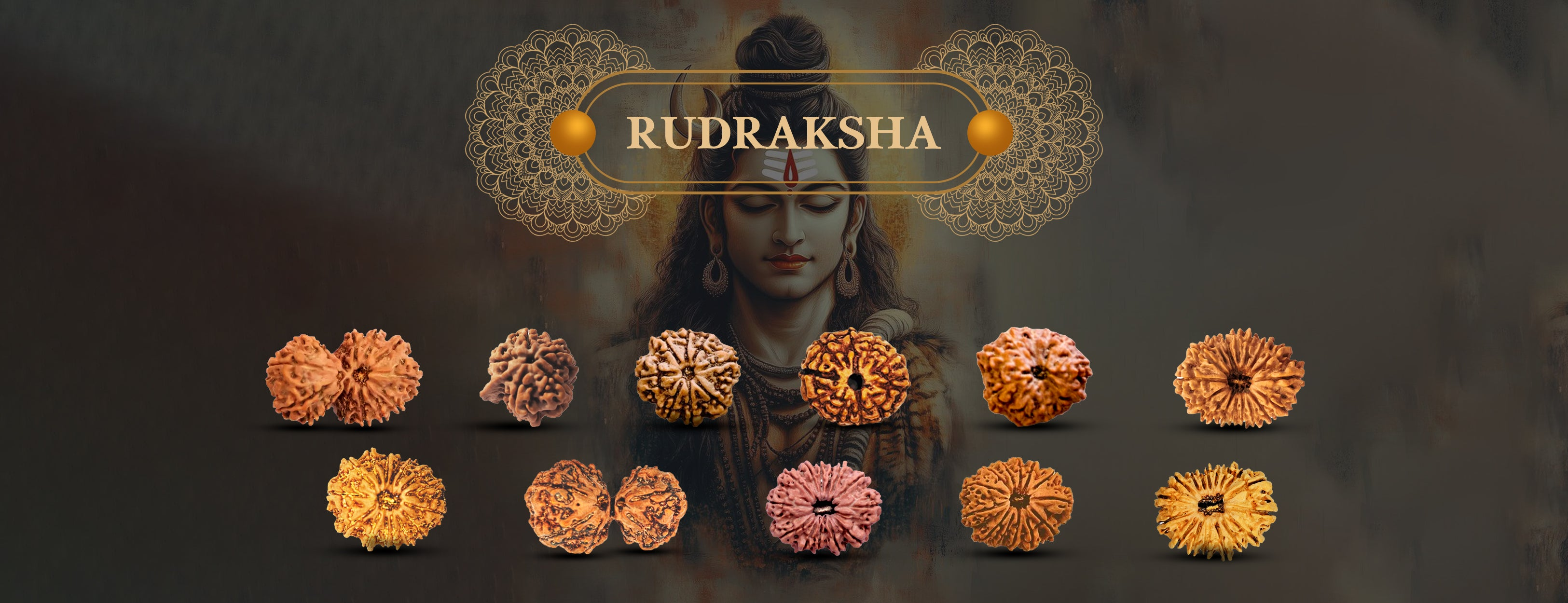 Rudraksha