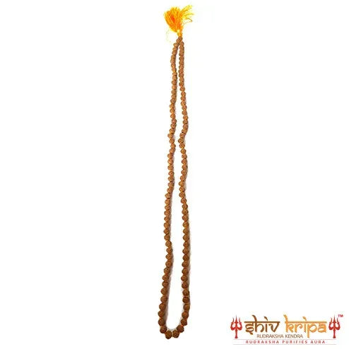 Semi Chikna 5 Mukhi Rudraksha Mala