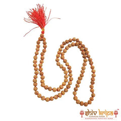 Real Five Mukhi Rudraksha Mala