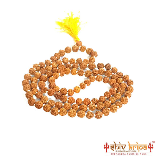 5 Mukhi Rudraksha Mala Original