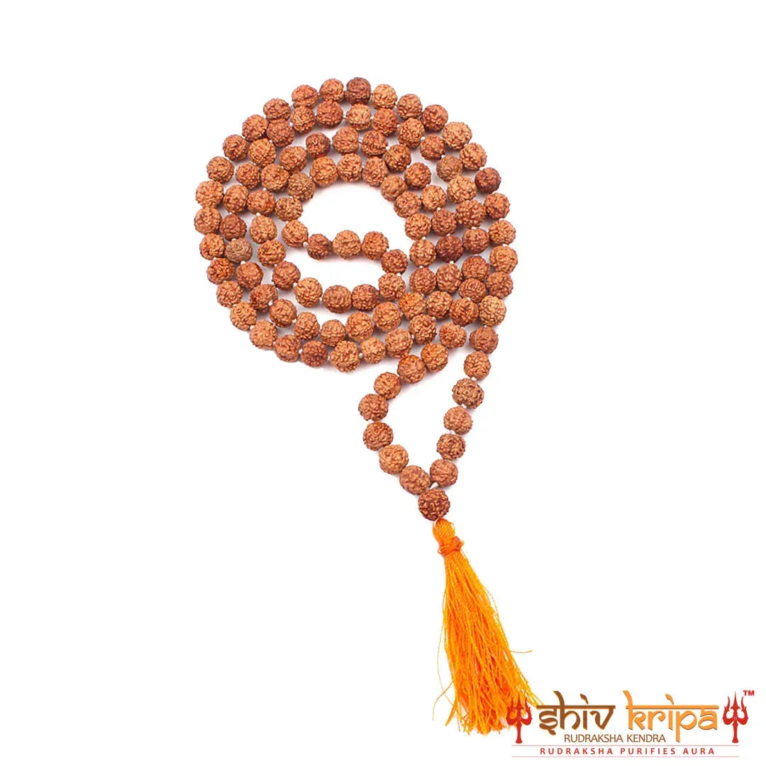 Real 9 Mukhi Rudraksha Mala