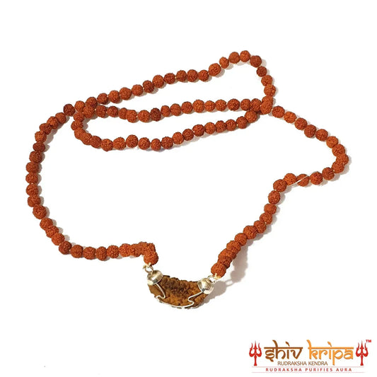 1 and 5 Mukhi Rudraksha Mala