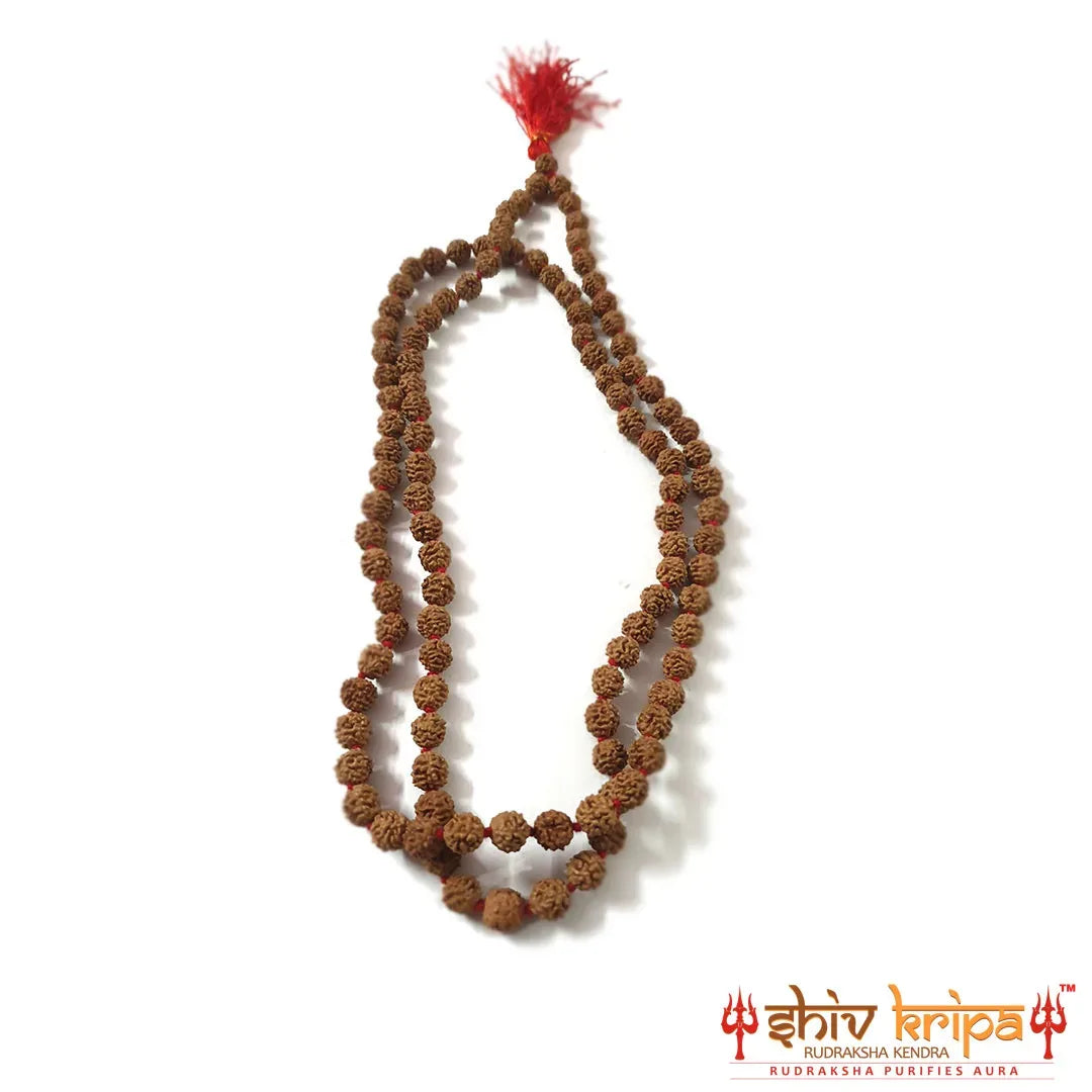 5 Mukhi Certified Rudraksha Mala Premium Quality 108+1 beads