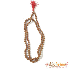 5 Mukhi Certified Rudraksha Mala Premium Quality 108+1 beads