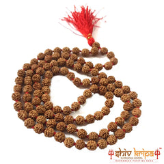 5 Mukhi Certified Rudraksha Mala Premium Quality 108+1 beads