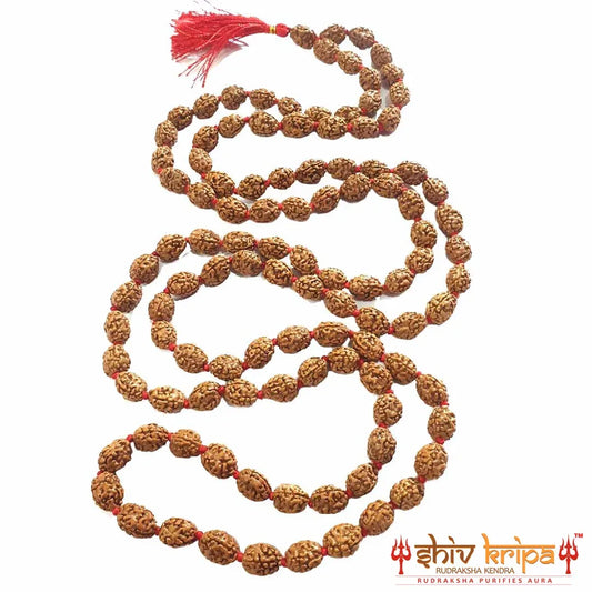 Real 4 Mukhi Rudraksha Mala With Certification