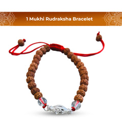 1 Mukhi Rudraksha Bracelet