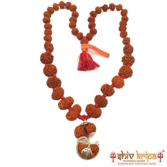 Sarv Sidh 1-14 Mukhi Rudraksha Mala