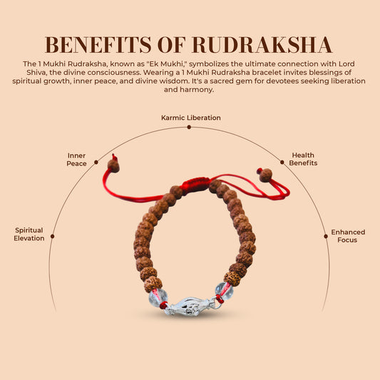 1 Mukhi Rudraksha Bracelet