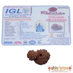 Garbh Gauri (Nepali) - Regular