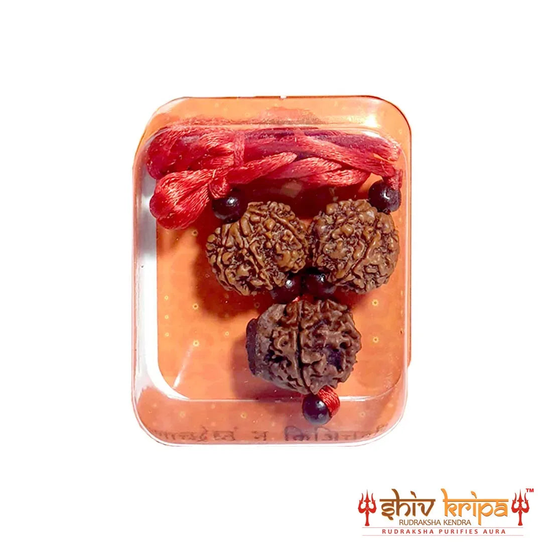 Rudraksha Business Combination Kavach Nepali Beads