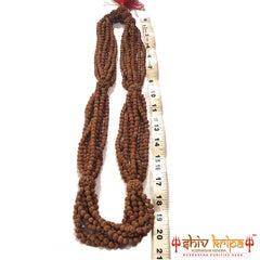 5 Mukhi Rudraksha Designer Nityanand Mala