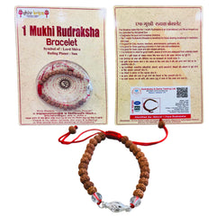 1 Mukhi Rudraksha Bracelet