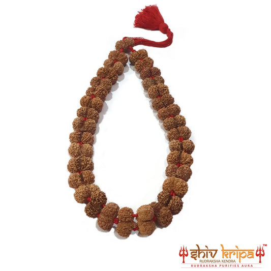 Gauri Shankar Rudraksha Kantha Mala