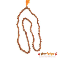 5 Mukhi Rudraksha Mala Nepali