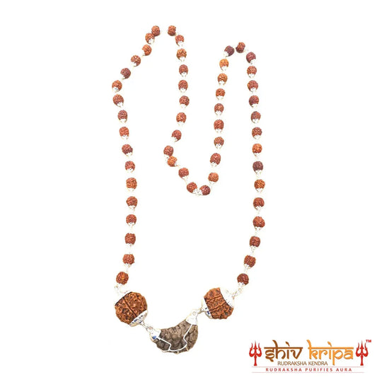 1 Mukhi +7 Mukhi +6 Mukhi Rudraksha Mala in pure silver capping