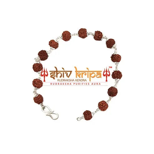 5 Mukhi Rudraksha Bracelet in Pure Silver 92.5ct