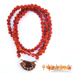 1 and 5 Mukhi Rudraksha Mala