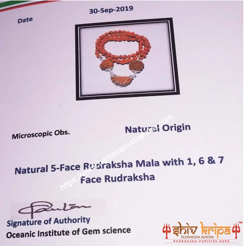 1 Mukhi Rudraksha Sampoorn Kavach