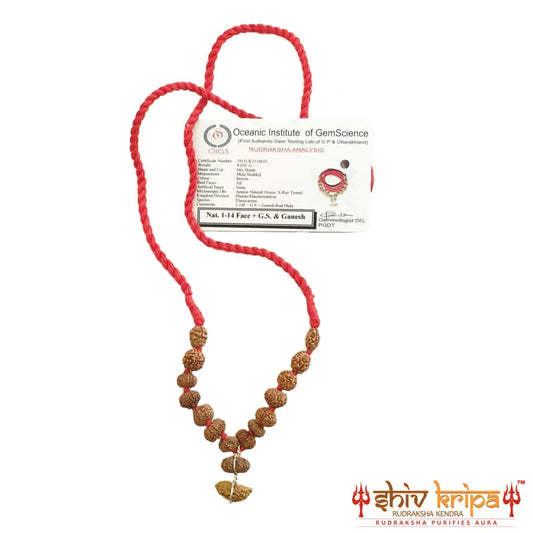 Sarv Siddha Rudraksha Mala