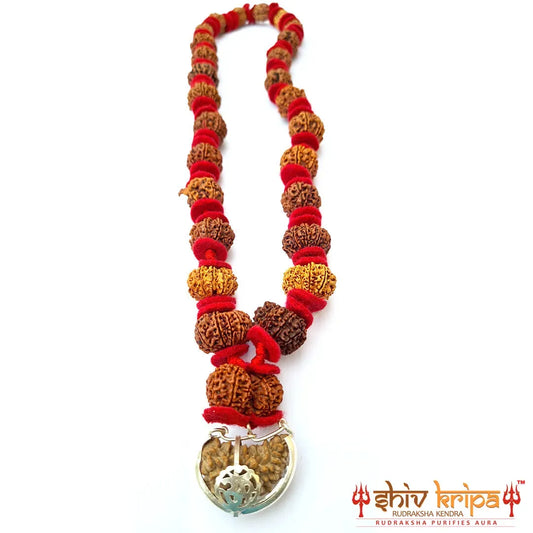 1 to 14 Mukhi Sarv Sidh Rudraksha Mala