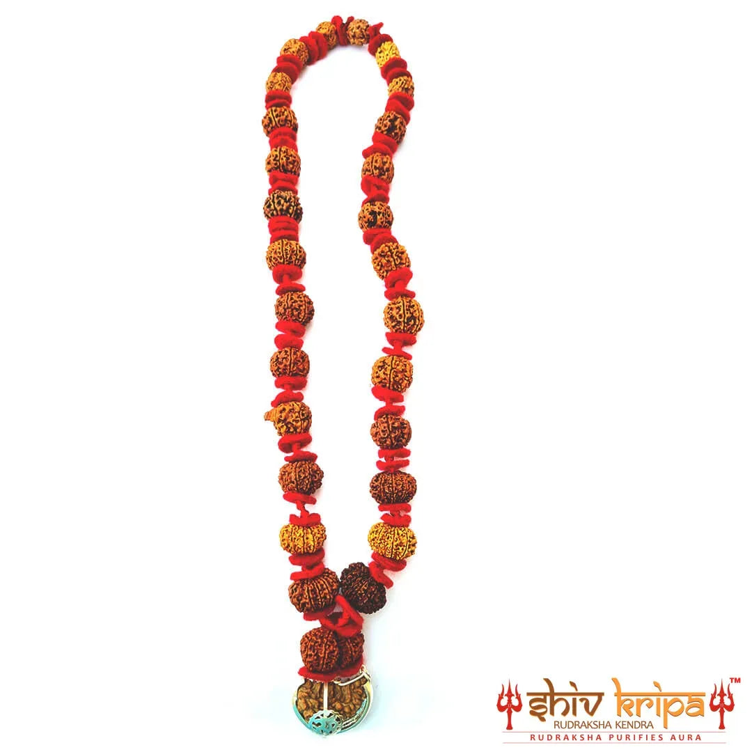 1 to 14 Mukhi Sarv Sidh Rudraksha Mala