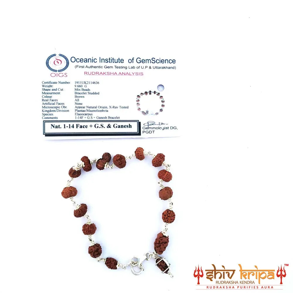 1 to 14 Mukhi Sarv Siddha Rudraksha Bracelet In Pure Silver