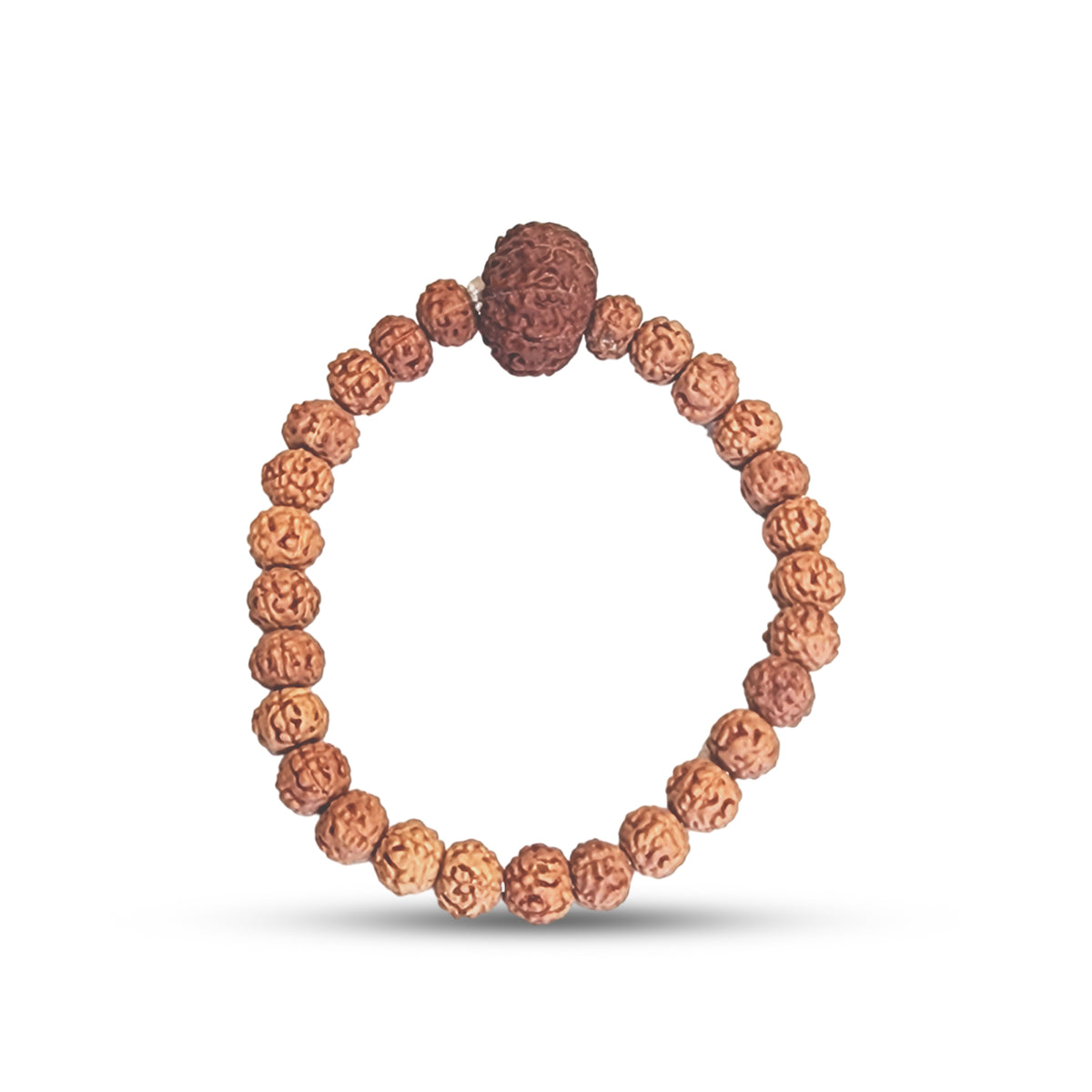 10 Mukhi Rudraksha Bracelet